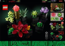 10309 LEGO® Botanicals Sukulentler - Thumbnail