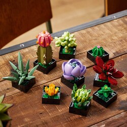 10309 LEGO® Botanicals Sukulentler - Thumbnail