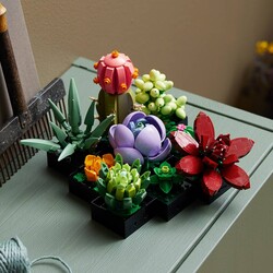 10309 LEGO® Botanicals Sukulentler - Thumbnail
