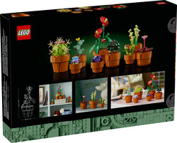 10329 LEGO® Icons Minik Bitkiler - Thumbnail