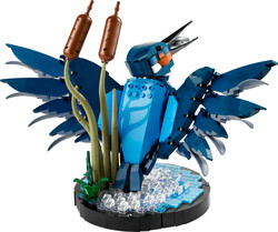 LEGO - 10331 LEGO® Icons Yalıçapkını Kuşu (1)
