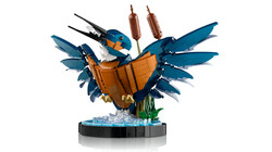 10331 LEGO® Icons Yalıçapkını Kuşu - Thumbnail