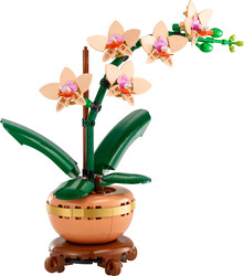 Botanik Koleksiyonu - 10343 LEGO® Botanicals Mini Orkide