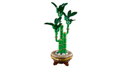 10344 LEGO® Botanicals Şans Bambusu - Thumbnail