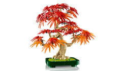 10348 LEGO® Botanicals Japon Kırmızı Akçaağaç Bonsai Ağacı - Thumbnail
