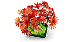 10348 LEGO® Botanicals Japon Kırmızı Akçaağaç Bonsai Ağacı - Thumbnail