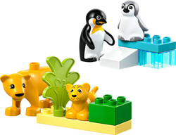 LEGO - 10442 LEGO® DUPLO Vahşi Hayvan Aileleri: Penguenler ve Aslanlar