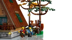 21338 LEGO® Ideas Dik Çatılı Kulübe - Thumbnail