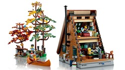 21338 LEGO® Ideas Dik Çatılı Kulübe - Thumbnail