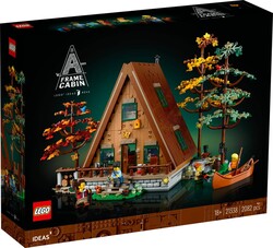 LEGO - 21338 LEGO® Ideas Dik Çatılı Kulübe (1)