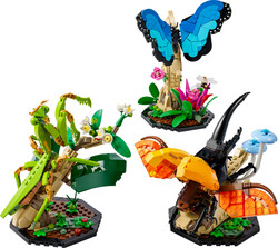 LEGO - 21342 LEGO® Ideas Böcek Koleksiyonu