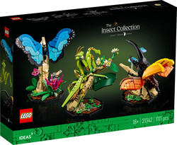 LEGO - 21342 LEGO® Ideas Böcek Koleksiyonu (1)