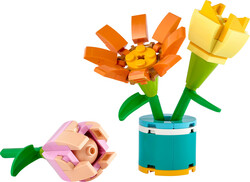 LEGO - 30634 LEGO® Friends Arkadaşlık Çiçekleri