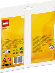 30645 LEGO® Creator Kardan Adam - Thumbnail