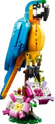 Creator 3-in-1 - 31136 LEGO® Creator Egzotik Papağan