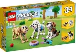 LEGO - 31137 LEGO® Creator Sevimli Köpekler (1)