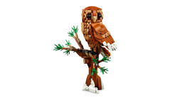 31154 LEGO® Creator Orman Hayvanları: Kızıl Tilki - Thumbnail