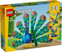 LEGO - 31157 LEGO® Creator Egzotik Tavus Kuşu (1)