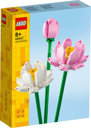 LEGO - 40647 LEGO® Botanicals Lotus Çiçekleri (1)