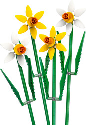 LEGO - 40747 LEGO® Botanicals Nergis