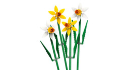 40747 LEGO® Botanicals Nergis - Thumbnail