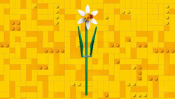40747 LEGO® Botanicals Nergis - Thumbnail