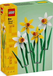 LEGO Icons - 40747 LEGO® Botanicals Nergis (1)