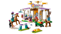 41746 LEGO® Friends At Eğitimi - Thumbnail