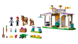 41746 LEGO® Friends At Eğitimi - Thumbnail