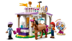 41746 LEGO® Friends At Eğitimi - Thumbnail