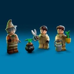 76384 LEGO Harry Potter Hogwarts™ Anısı: Bitkibilim Dersi - Thumbnail