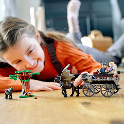 76400 LEGO Harry Potter™ Hogwarts™ Araba ve Testraller - Thumbnail