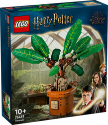 76433 LEGO® Harry Potter™ Adamotu - Thumbnail