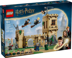 76447 LEGO® Harry Potter™ Hogwarts™ Şatosu: Uçuş Dersleri - Thumbnail